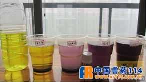 烈酒甜味背后 如何科學(xué)判斷脫霉劑處理霉菌毒素的能力？