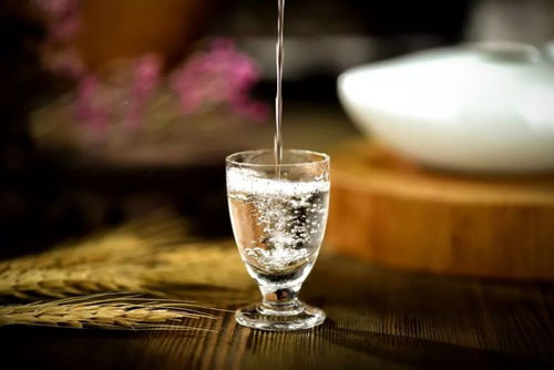 醉酒的六重境界 從微醺到致命，你了解多少？